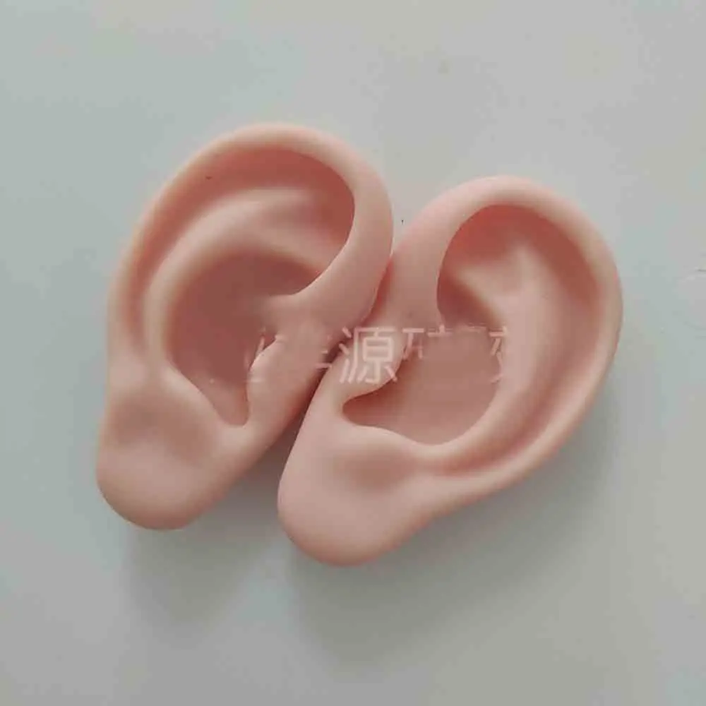 модель уха силиконовая модель для практики акупунктуры правого и левого уха Обучающие ресурсы modele oreille для медицинских наук