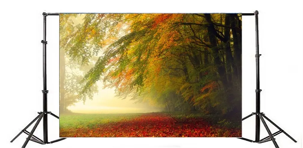 Фон для фотографии Осенняя Природа Старое Дерево Золотые Листья Трава Поле Природа