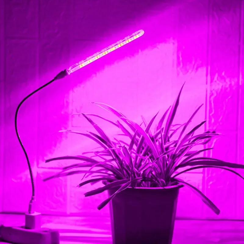 USB 5V светодиодная лампа для роста растений лампа для полного роста растений лампа для комнатных растений Теплица для рассады цветов фитолампы